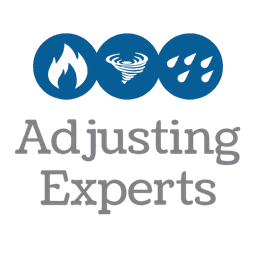 Adjusting Experts